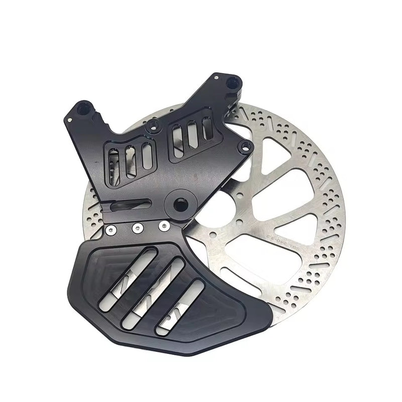 Dual brake mount and rotor